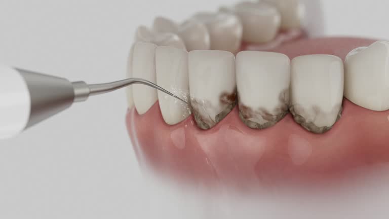 Reliable Dental contractor in Hillandale, MD by Dentist Open Now